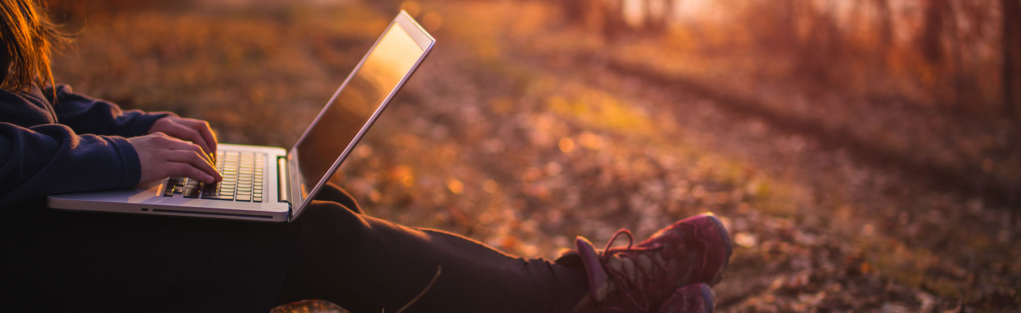 Lloyd's Electronics - Commercial Internet